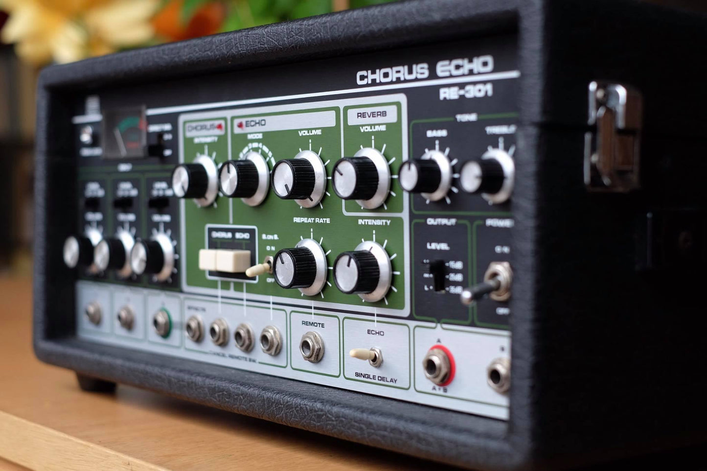 Roland Chorus Echo RE-301 - front panel replacement